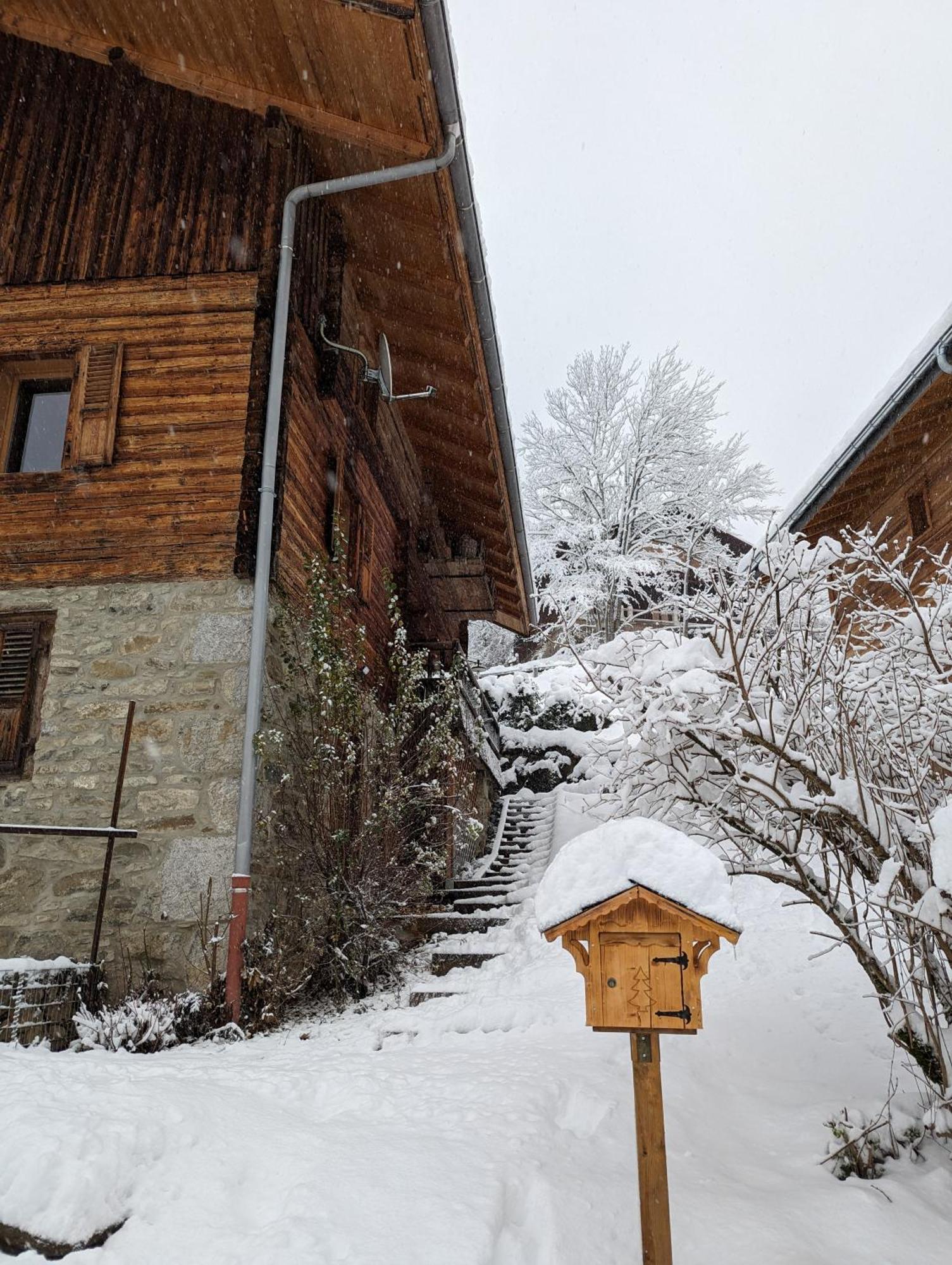 Bas De Chalet Au Coeur Des Aravis, Entre Lac Et Montagne Saint-Jean-de-Sixt Exterior foto